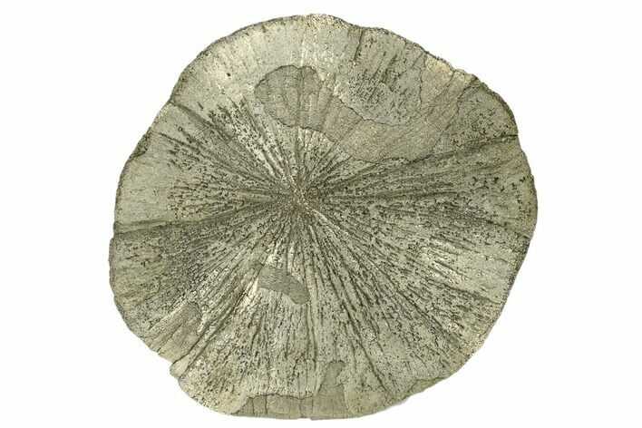 Pyrite Sun - Sparta, Illinois #180647